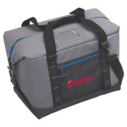 URBAN PEAK 30 CAN COLLAPSIBLE COOLER